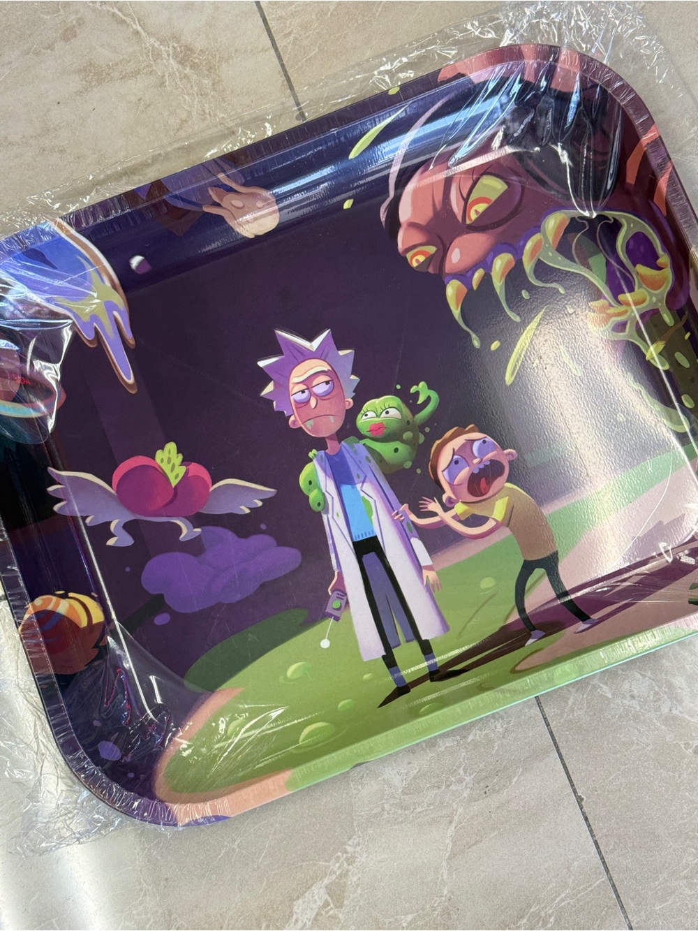 Rick and Morty Graphic Metal Tray